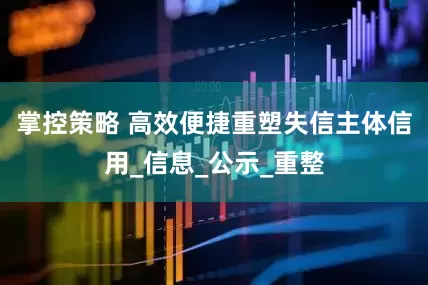 掌控策略 高效便捷重塑失信主体信用_信息_公示_重整