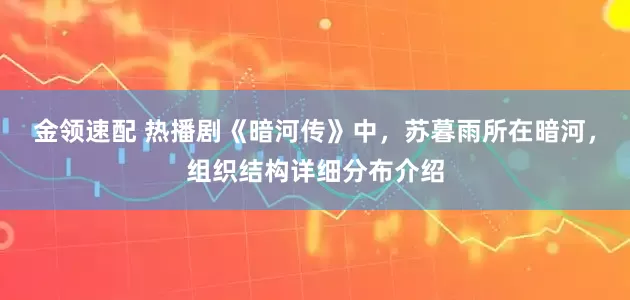金领速配 热播剧《暗河传》中，苏暮雨所在暗河，组织结构详细分布介绍